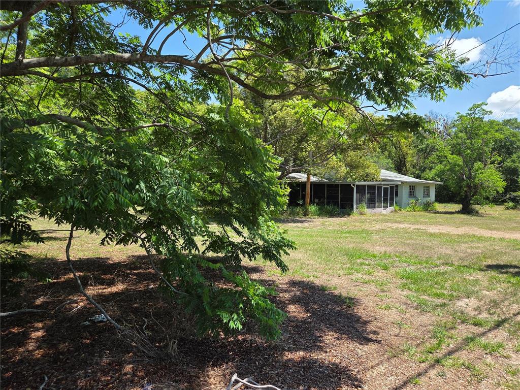 3810 East Lumsden Road Valrico, FL 33594 - Photo 4 of 4