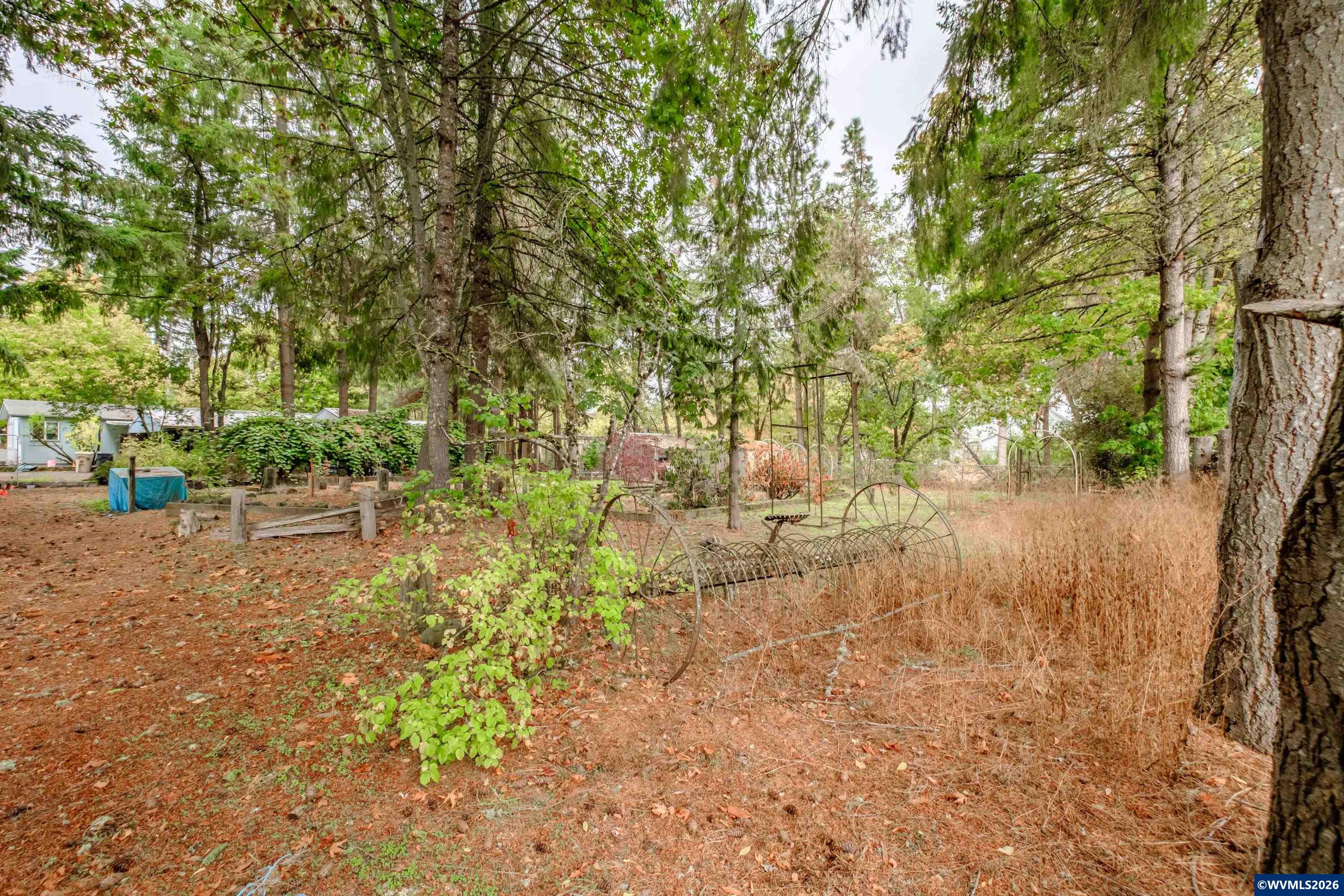 Lot 030100 Southwest Beech Street Scio, OR 97374 - Photo 39 of 41