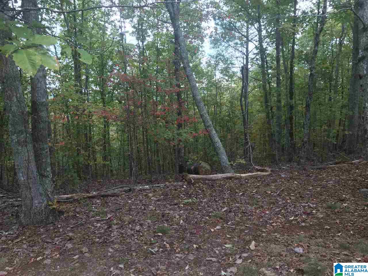 Fire Station Road, Unit 30 Ashland, AL 36251 - Photo 12 of 15