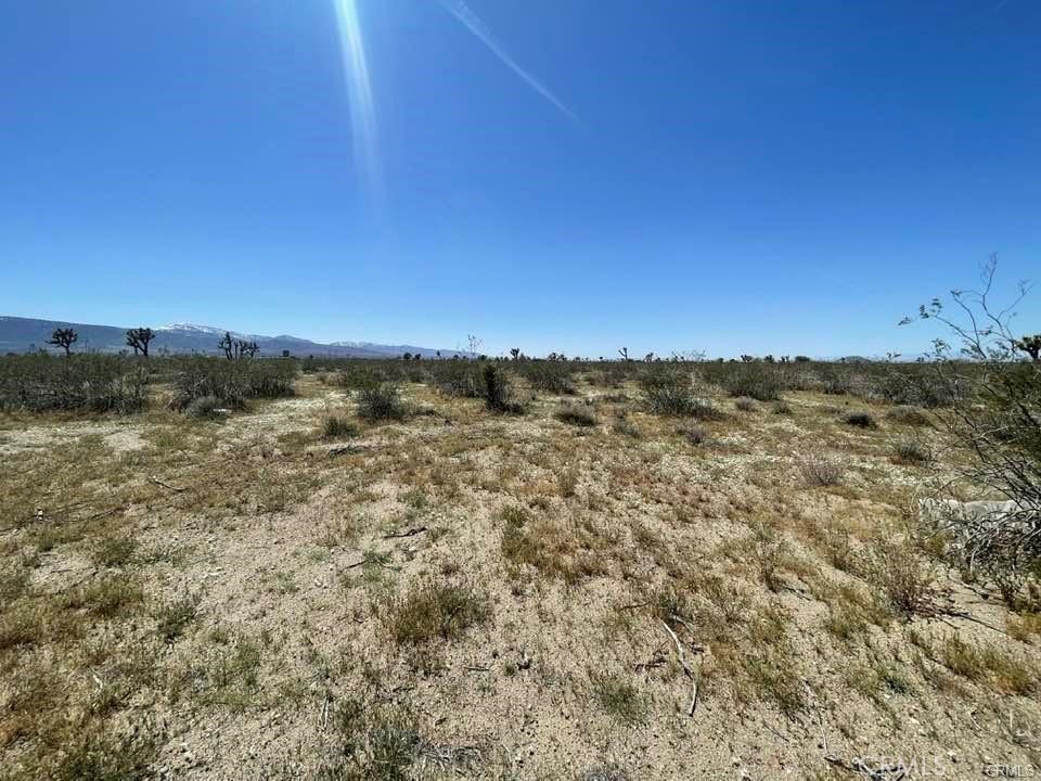 a view of a sky from a yard