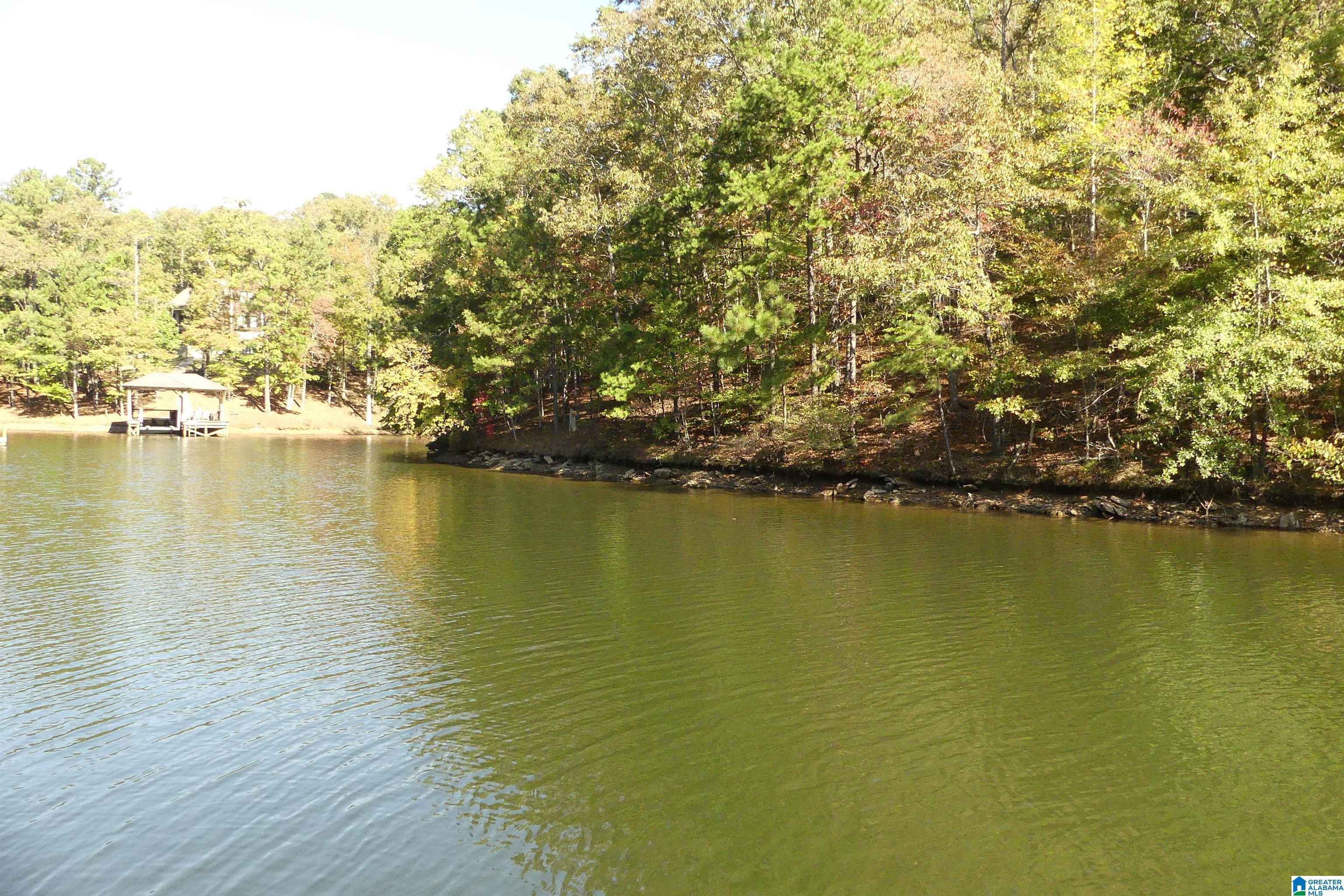 Lot 106 River Birch Road, Unit 106 Heflin, AL 36264 - Photo 2 of 8
