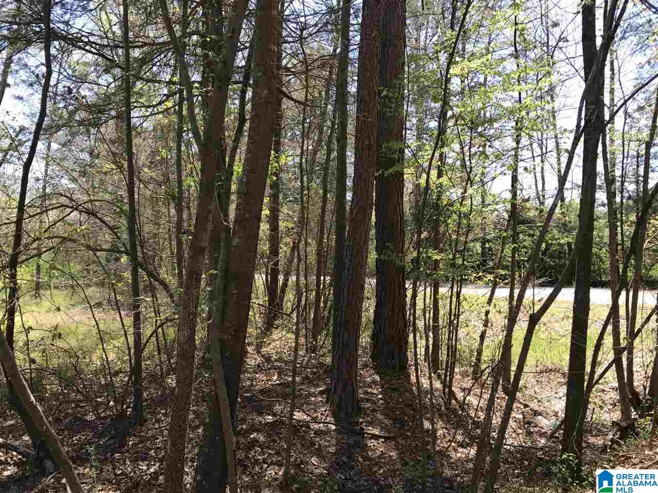 4133 Roy Webb Road, Unit 1 Jacksonville, AL 36265 - Photo 26 of 40
