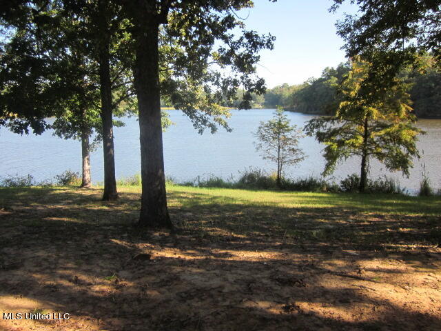 No No Spring Lake Carrollton, MS 38917 - Photo 1 of 1 Spring Lake Lot