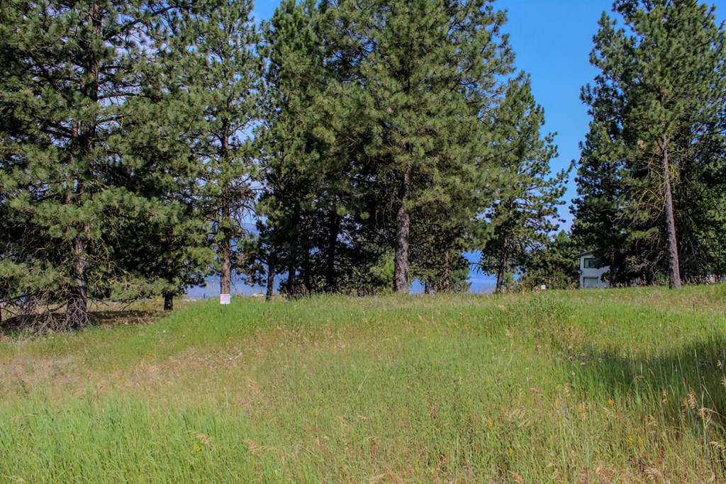 507 Jeffrey Avenue, Unit 2 Cascade, ID 83611 - Photo 2 of 19 Nice Lot For Your Dream Home
