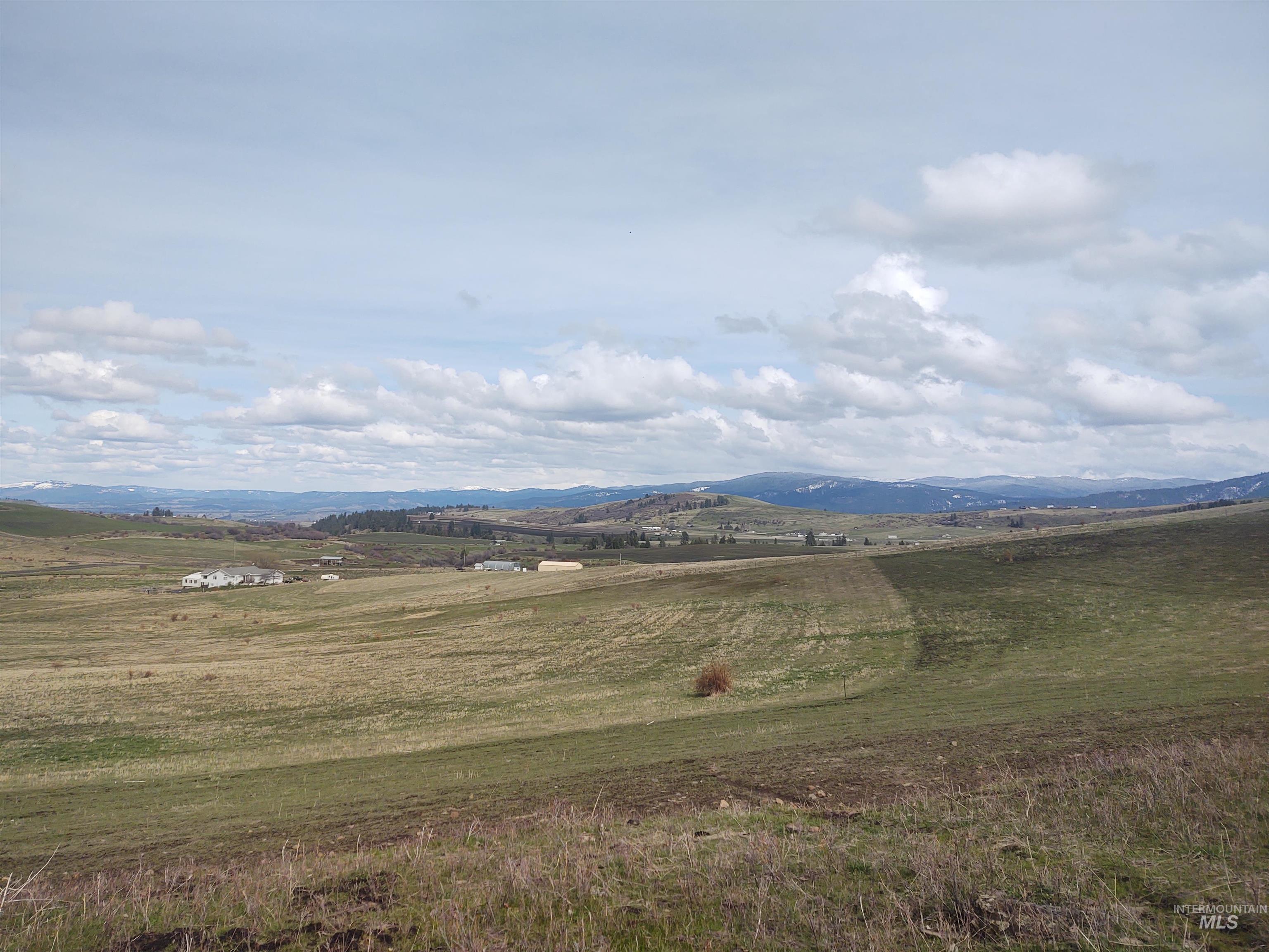 Lot 14 Knox Road Grangeville, ID 83530 - Photo 8 of 13