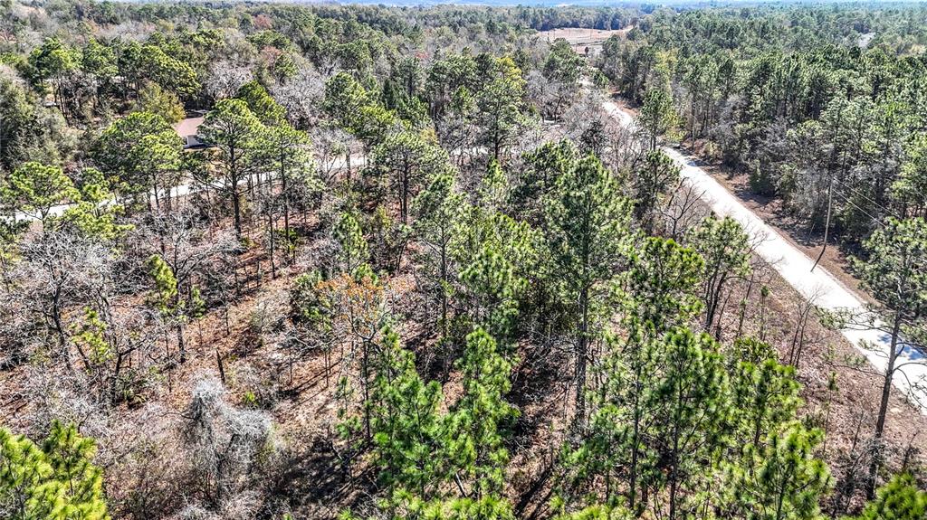 16070 Sheldrake Loop Weeki Wachee, FL 34614 - Photo 15 of 23