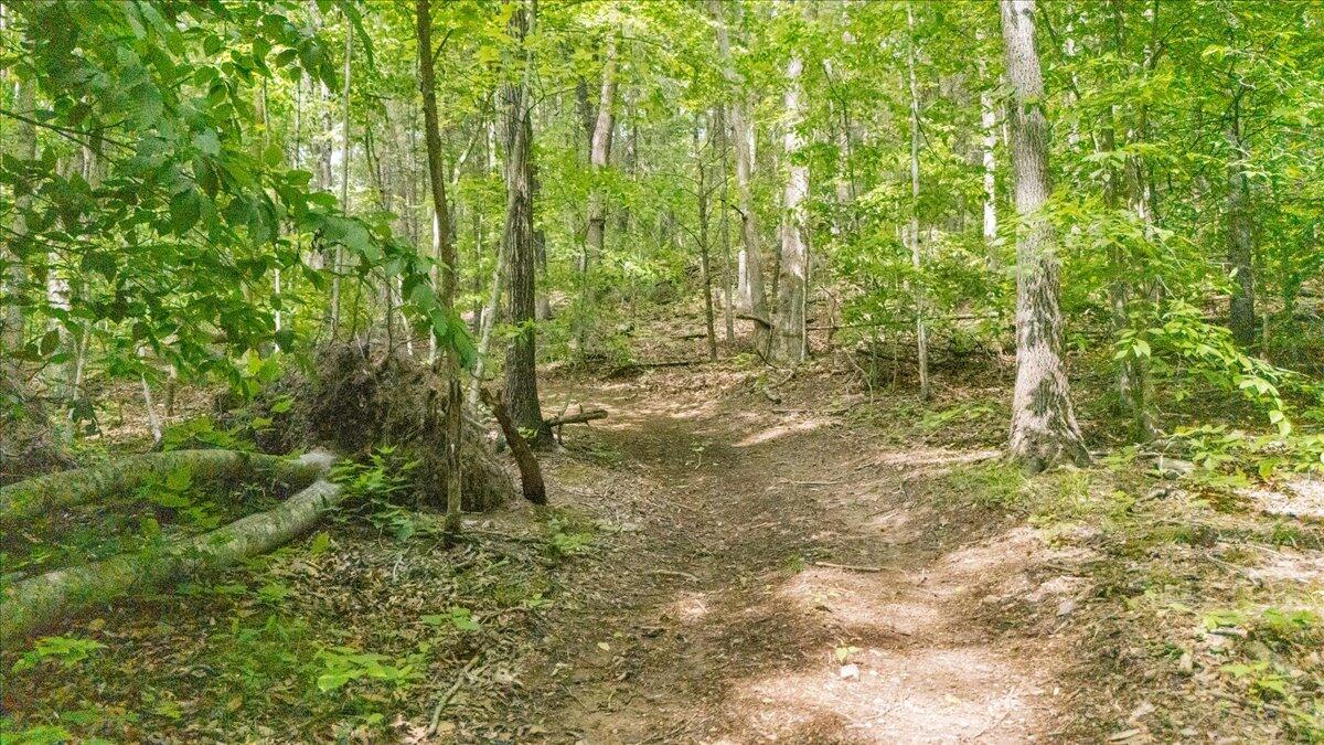 3994 Yates Road Shawsville, VA 24162 - Photo 9 of 40 33-DJI_20260516160433_0032_D