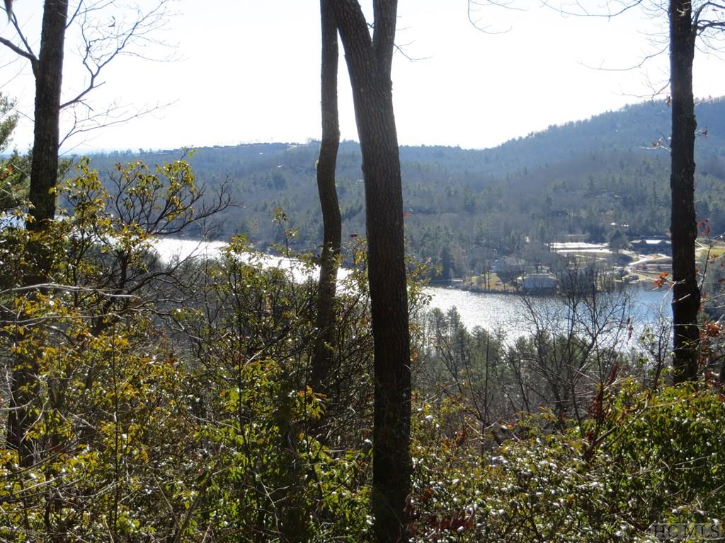 Lot 17 Panther Ridge Road Lake Toxaway, NC 28747 - Photo 9 of 38 Gallery Image 9