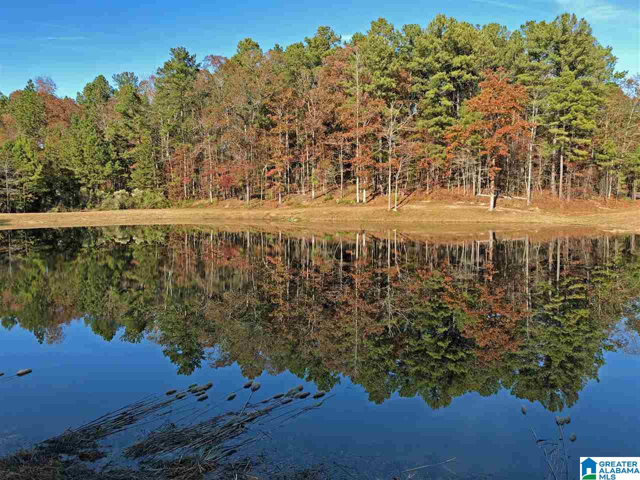 Lot 3 Chelsea Ridge Lane, Unit 3 Columbiana, AL 35051 - Photo 1 of 1