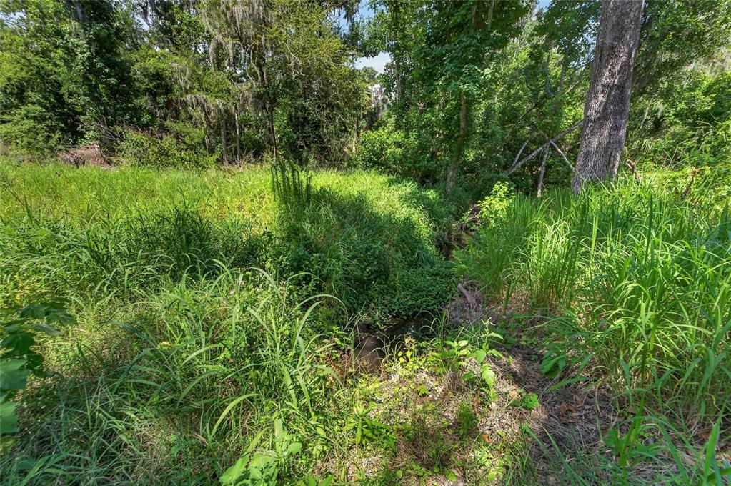 672 Highway Lithia Lithia, FL 33547 - Photo 21 of 24