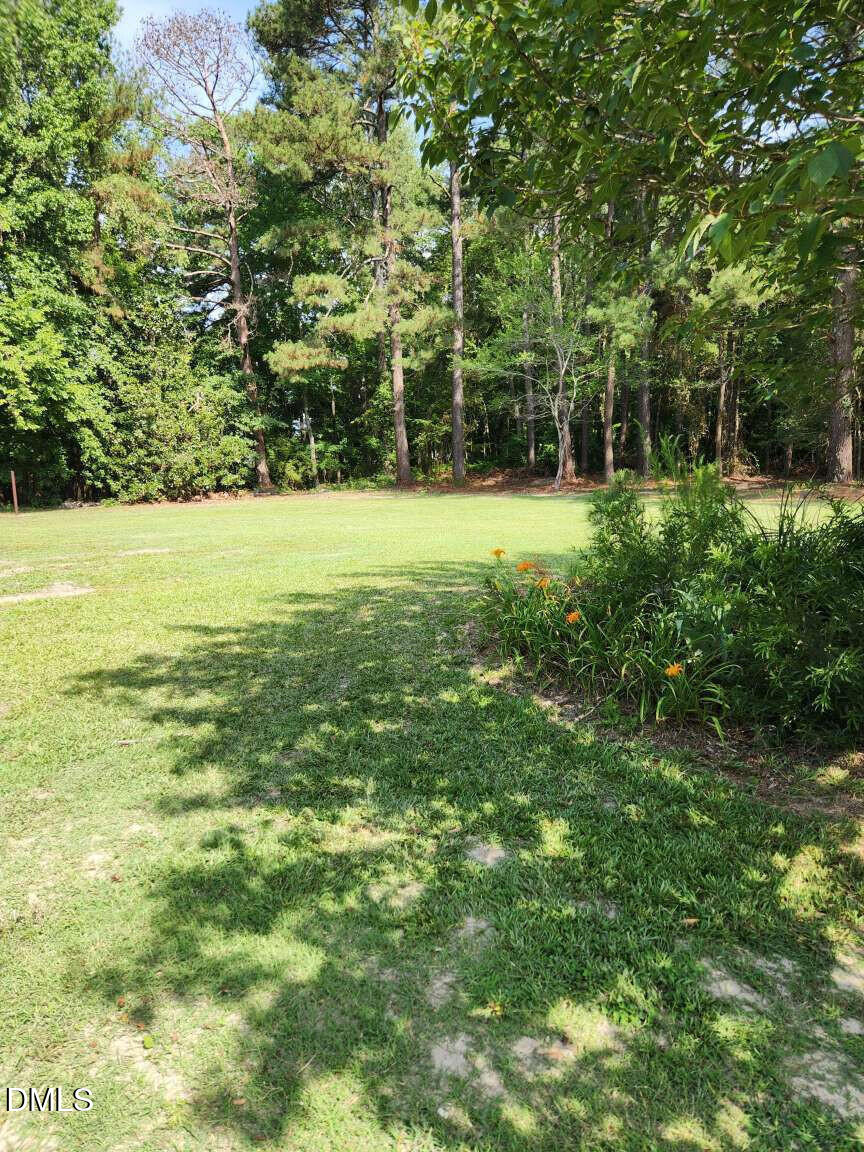 121 Old Moore Road Selma, NC 27576 - Photo 21 of 25 Mcneece.21