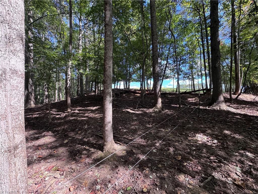 503 Sam Fulk Road Pilot Mountain, NC 27041 - Photo 44 of 50 Gallery Image 44