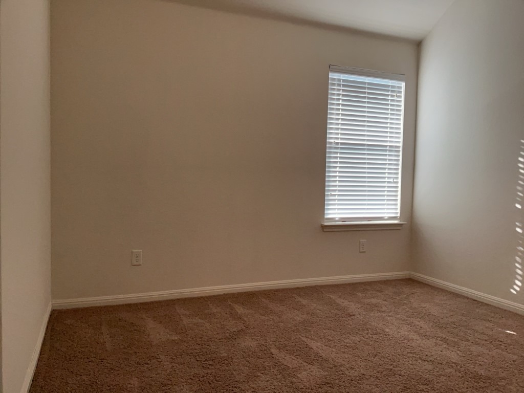 2909 Tempe Drive Leander, TX 78641 - Photo 29 of 38 Carpet with natural light and carpet