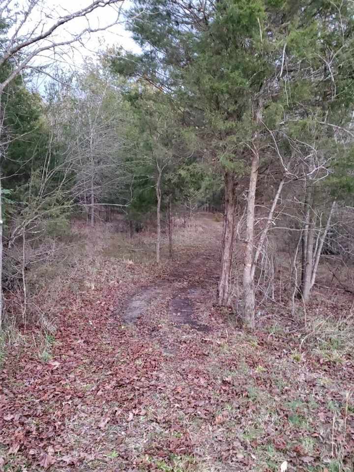 382 Rolling Mill Road Gaffney, SC 29340 - Photo 27 of 27 Gallery Image 27