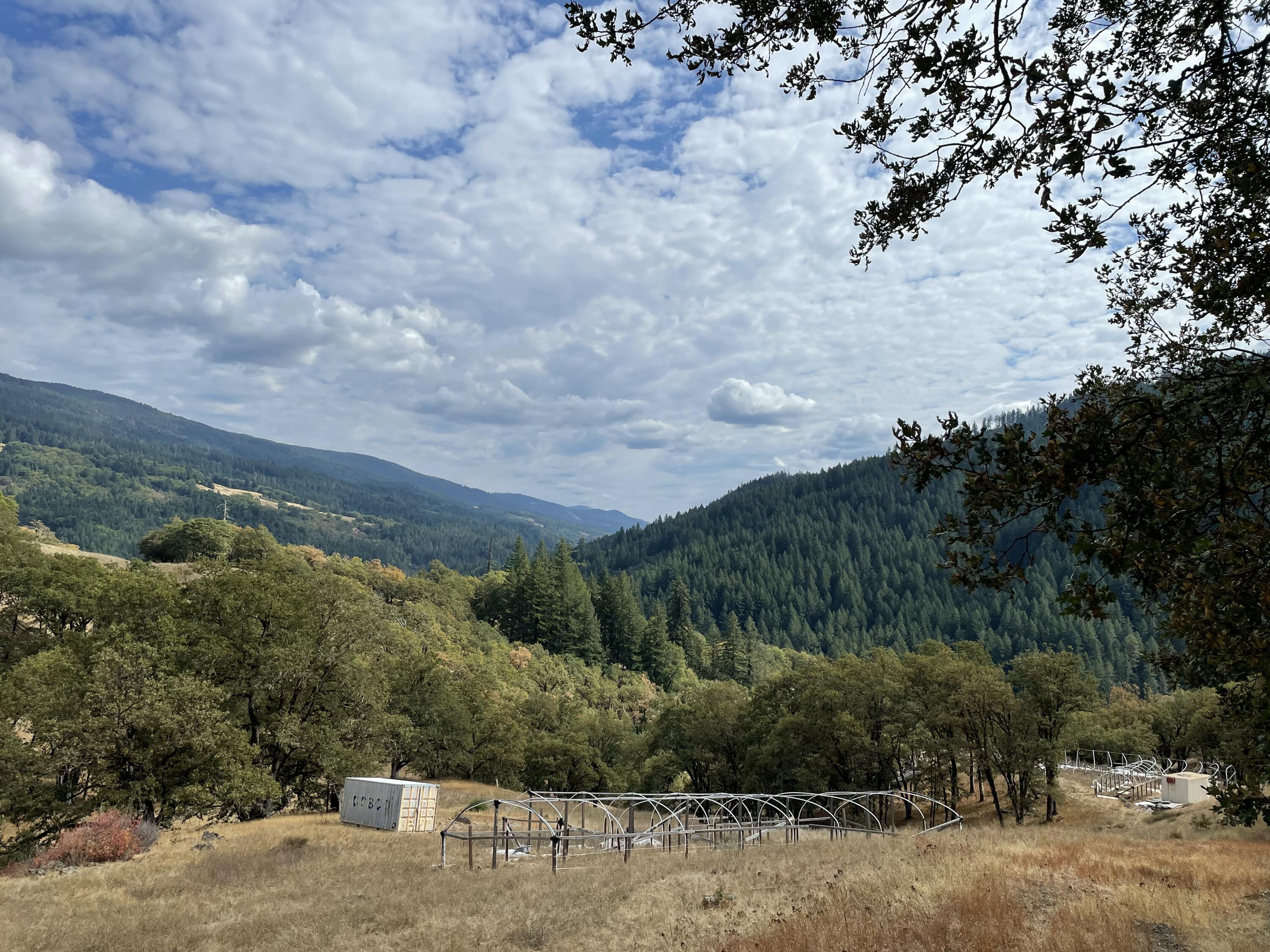 40-acres 40-acres Ridge Road Mad River, CA 95526 - Photo 16 of 28