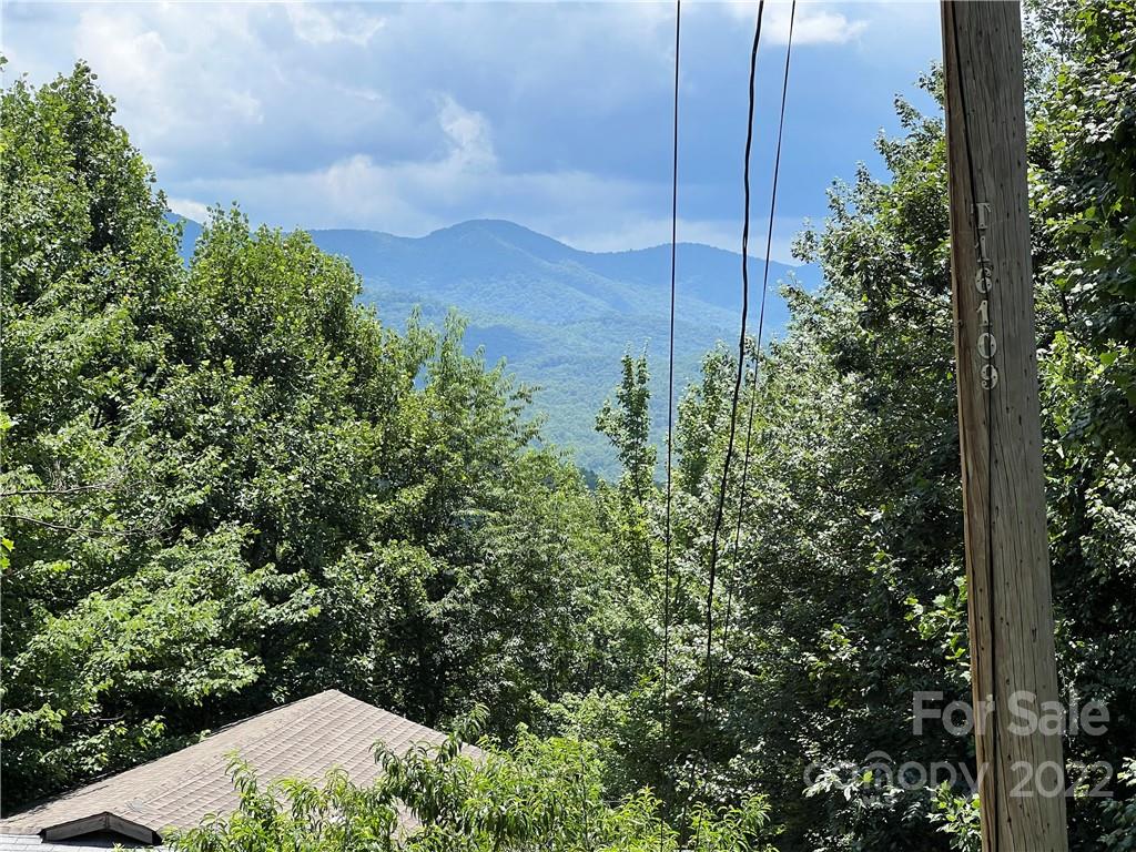 31 Holly Ridge Road Candler, NC 28715 - Photo 3 of 12 Gallery Image 3
