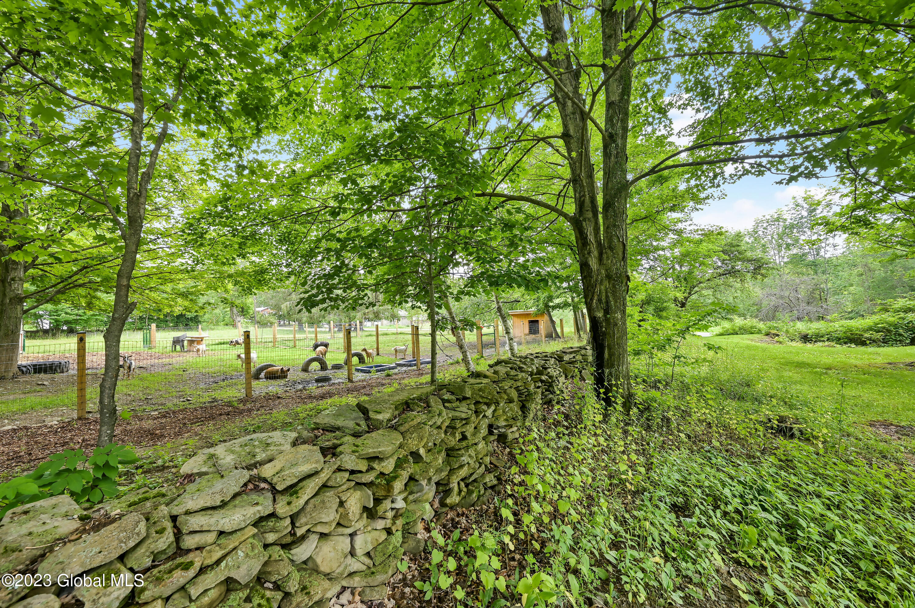 471 Eminence Road Summit, NY 12175 - Photo 23 of 75 471 Eminence Rd Summit-10