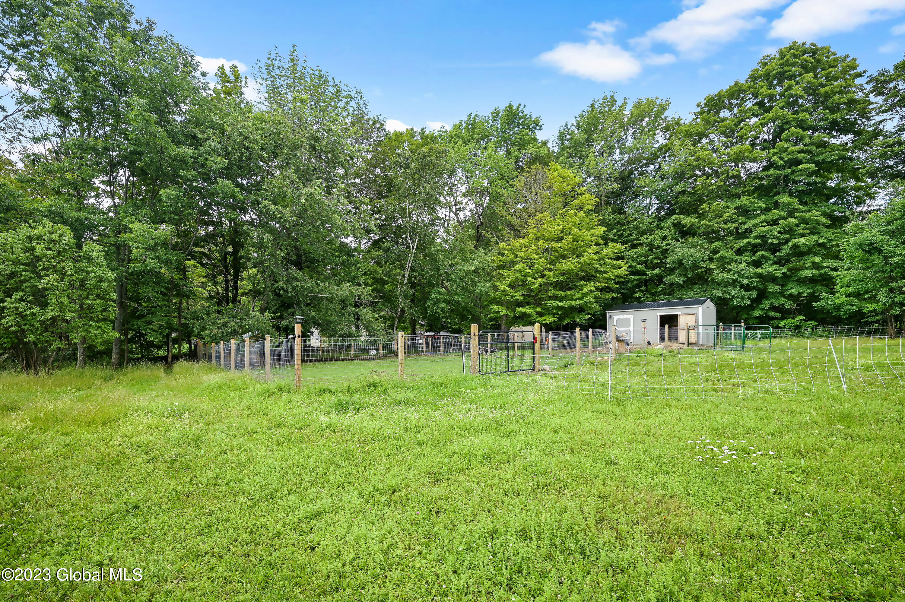 471 Eminence Road Summit, NY 12175 - Photo 26 of 75 471 Eminence Rd Summit-13