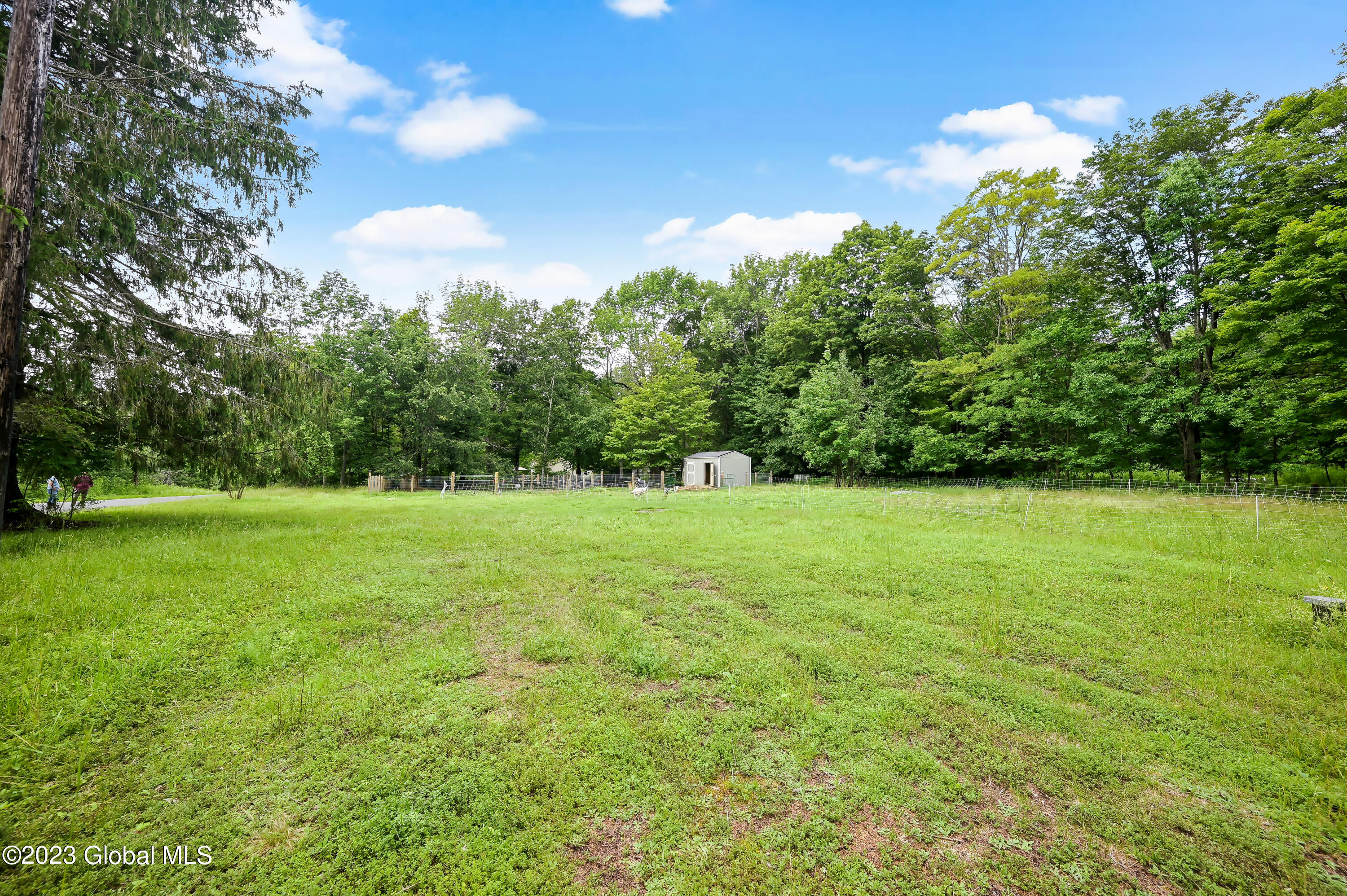 471 Eminence Road Summit, NY 12175 - Photo 27 of 75 471 Eminence Rd Summit-14