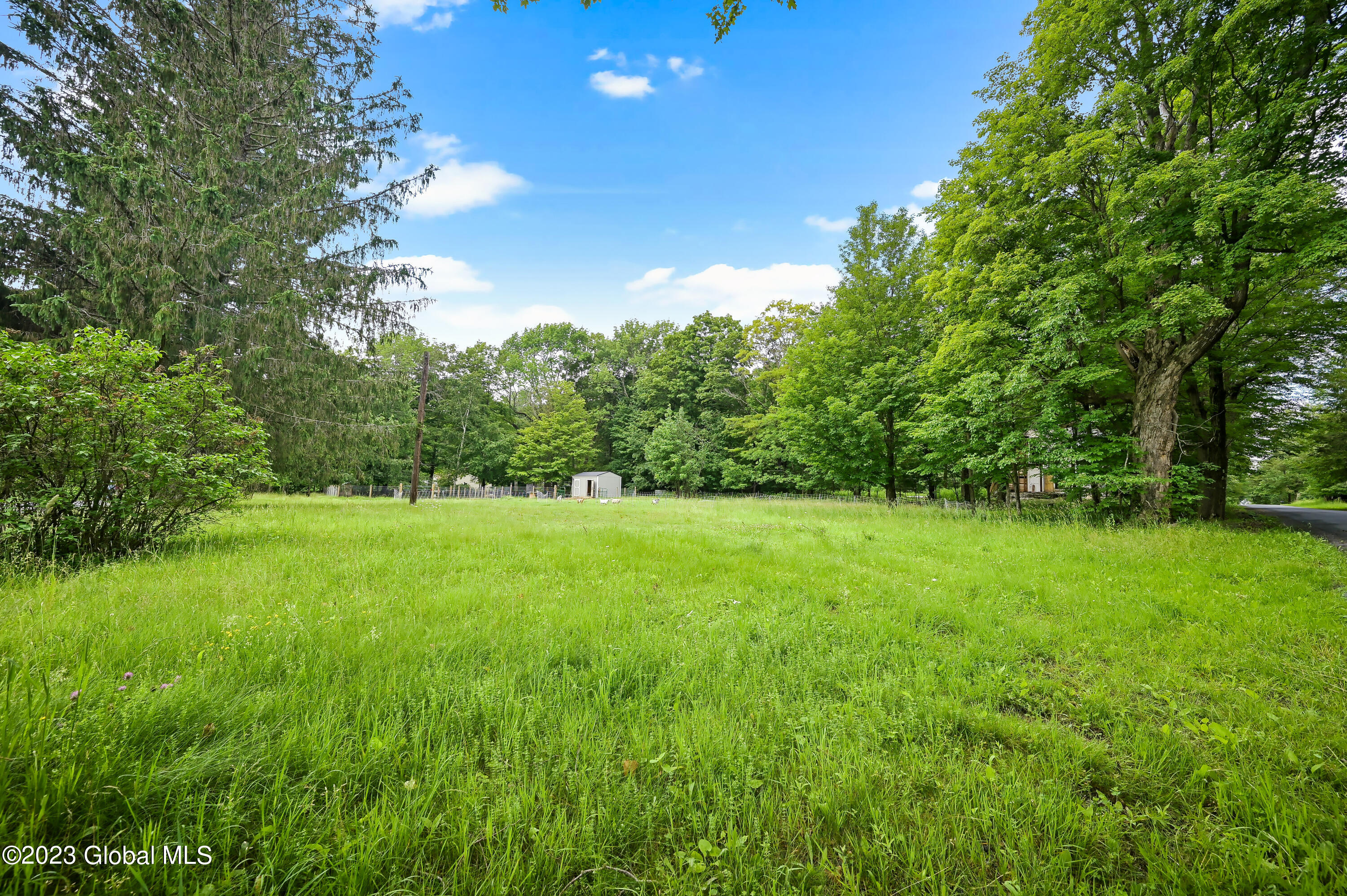 471 Eminence Road Summit, NY 12175 - Photo 28 of 75 471 Eminence Rd Summit-15