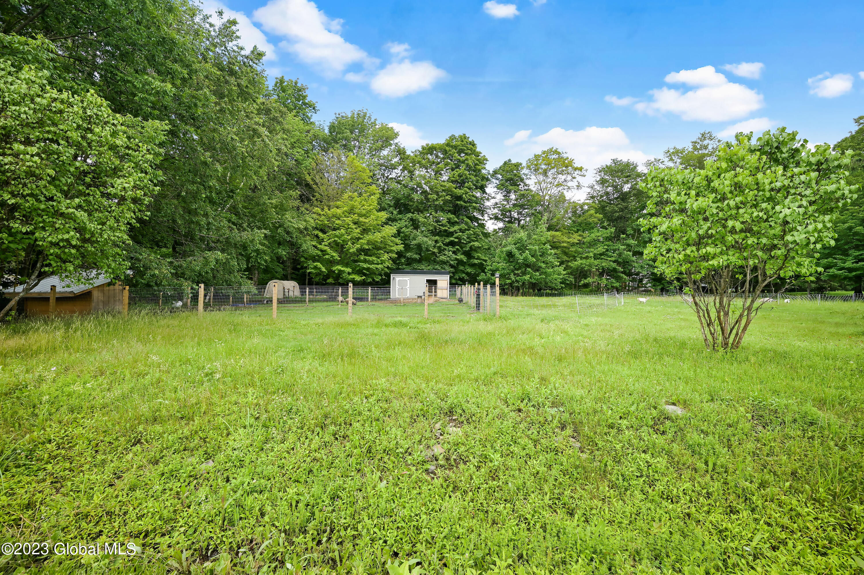 471 Eminence Road Summit, NY 12175 - Photo 29 of 75 471 Eminence Rd Summit-16