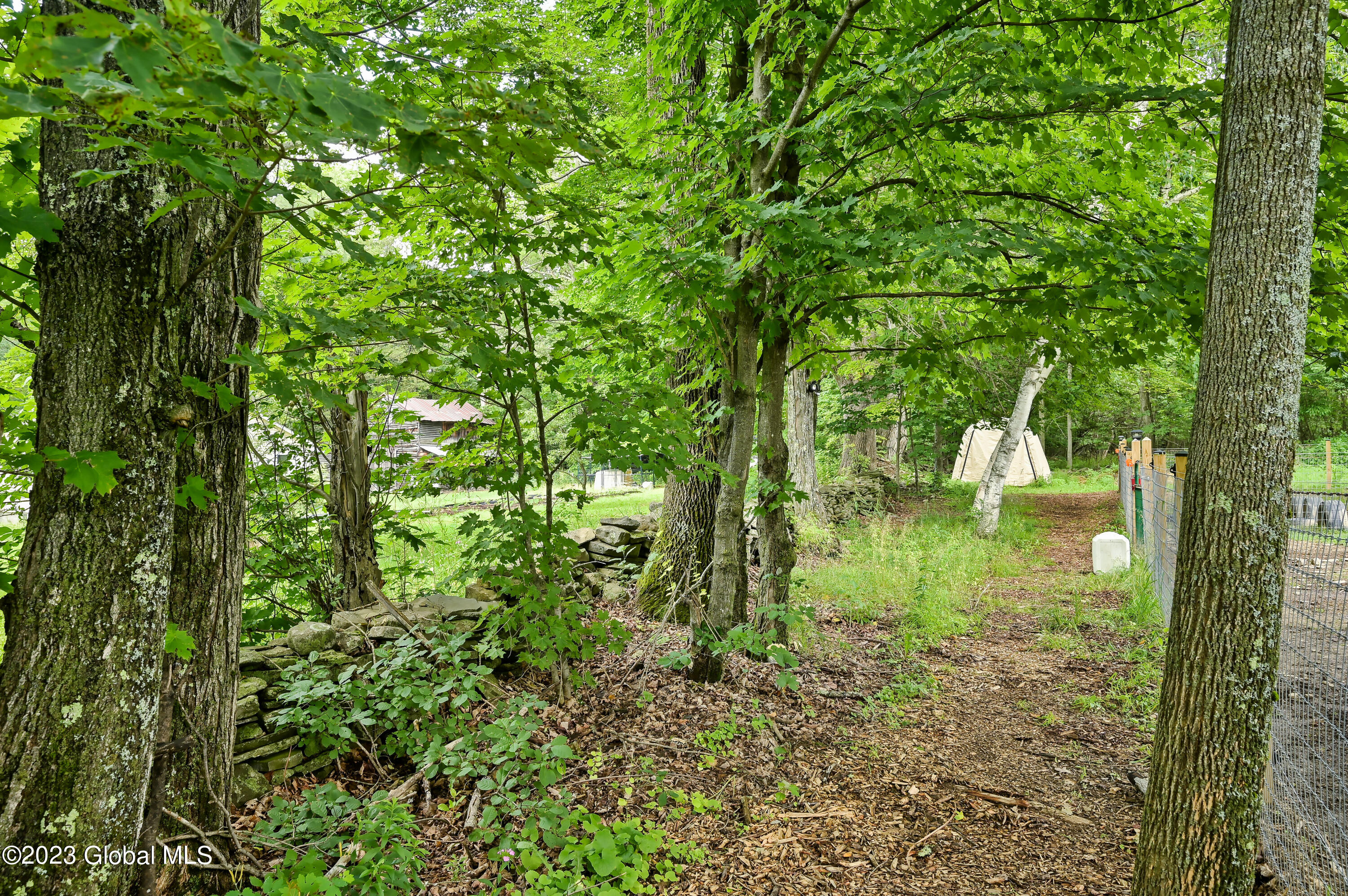 471 Eminence Road Summit, NY 12175 - Photo 31 of 75 471 Eminence Rd Summit-18