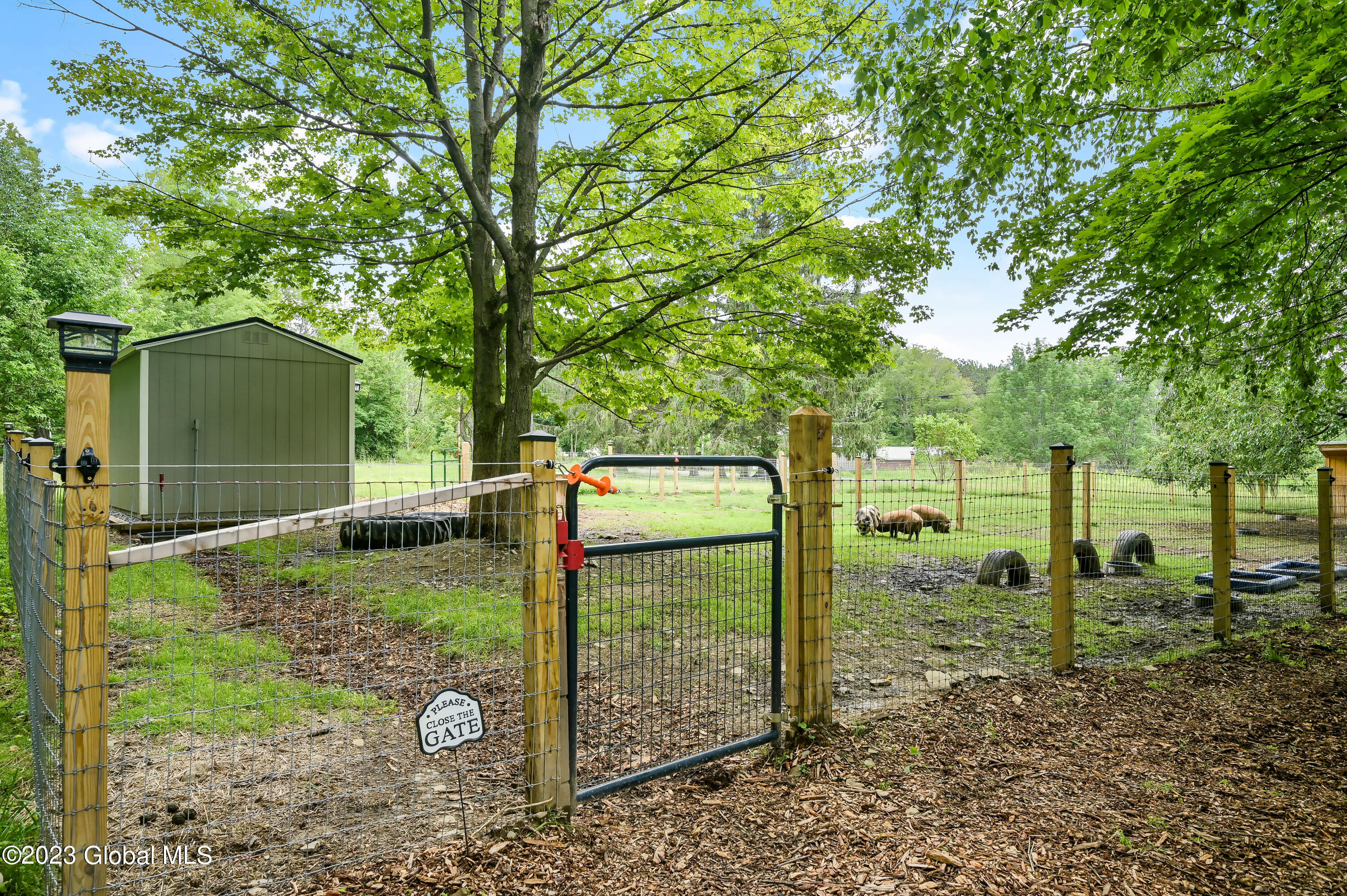 471 Eminence Road Summit, NY 12175 - Photo 33 of 75 471 Eminence Rd Summit-20