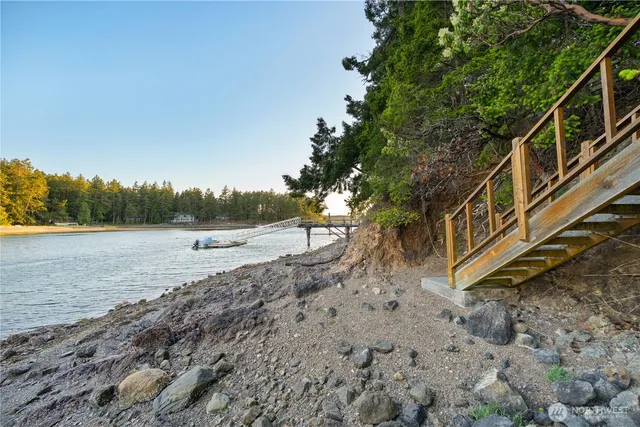 a view of a yard with a tiny house
