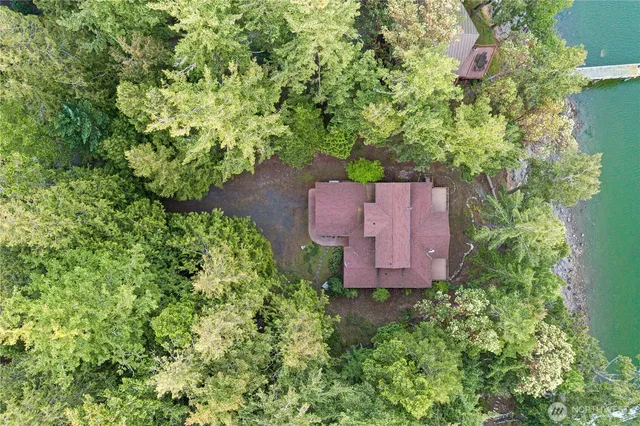 an aerial view of a house with a yard and a large tree