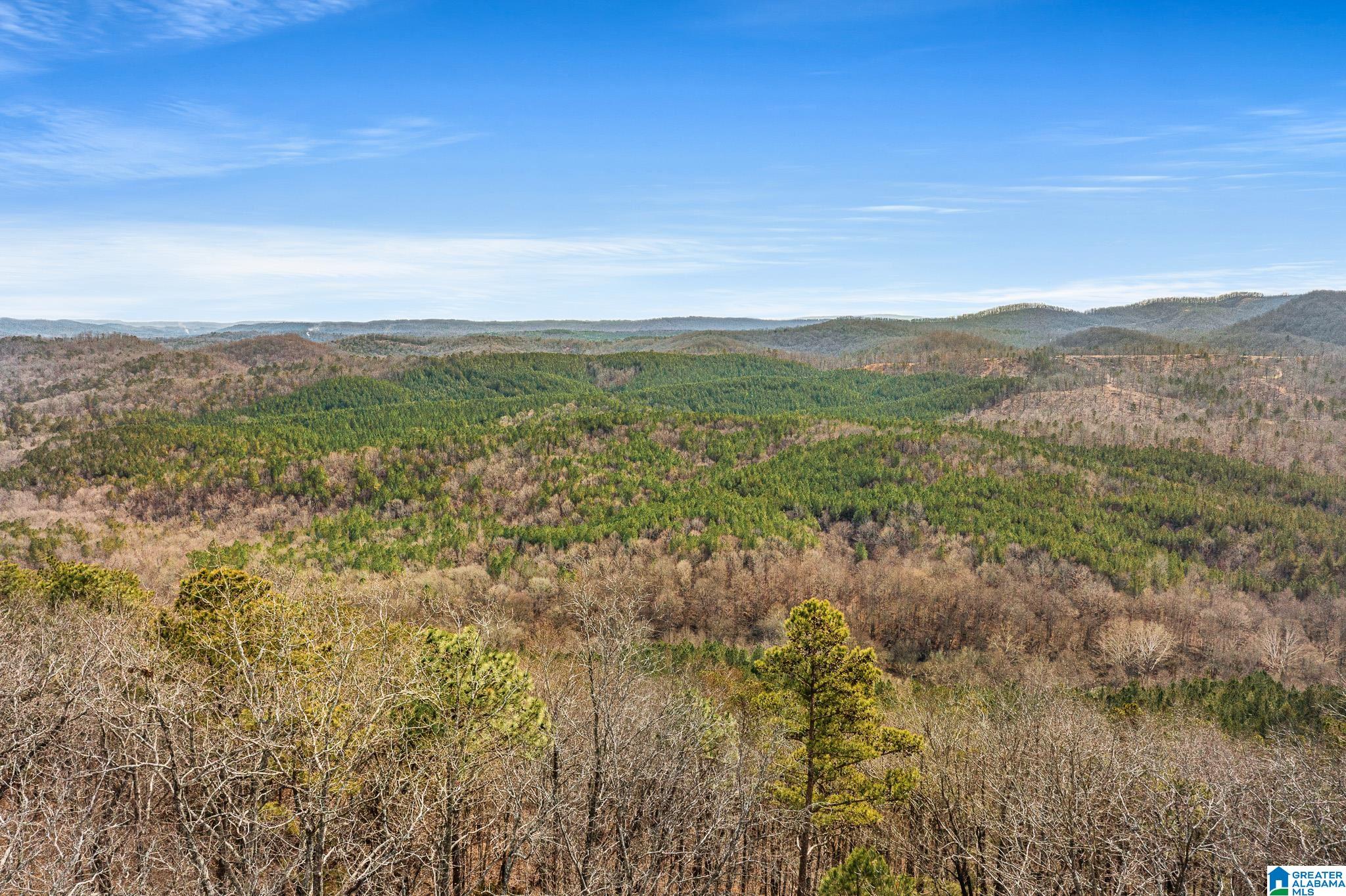 575 Mountain View Lane Springville, AL 35146 - Photo 62 of 84