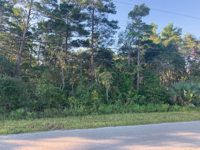 Xx Lighthouse Road, Unit 1 Carrabelle, FL 32322 - Photo 3 of 3 Gallery Image 3