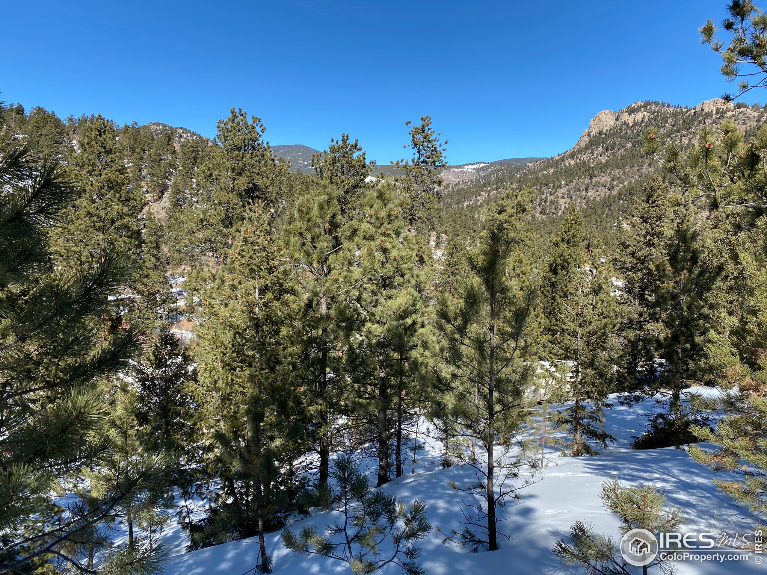 7294 County Road 43 Drake, CO 80515 - Photo 2 of 8