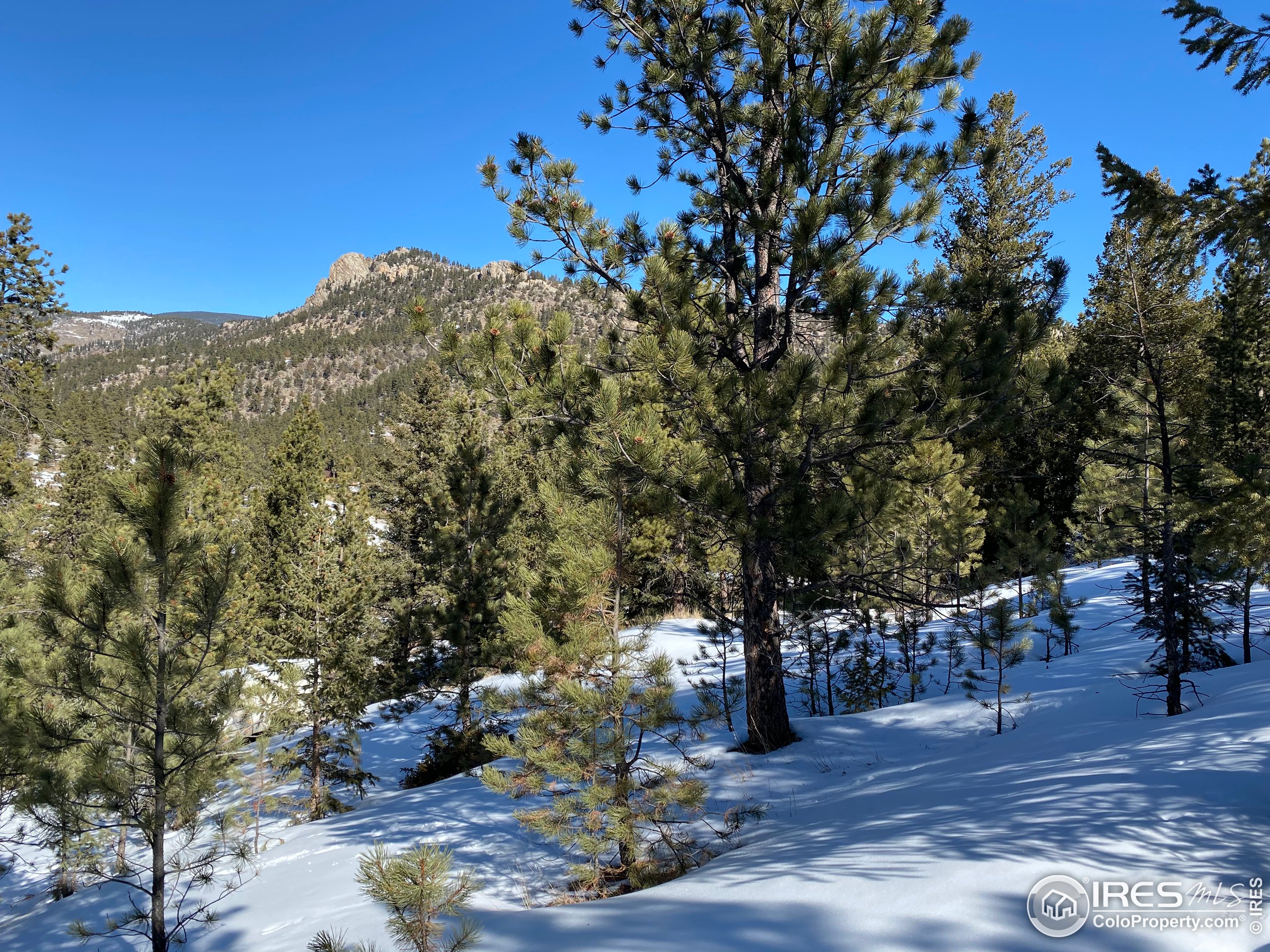 7294 County Road 43 Drake, CO 80515 - Photo 3 of 8
