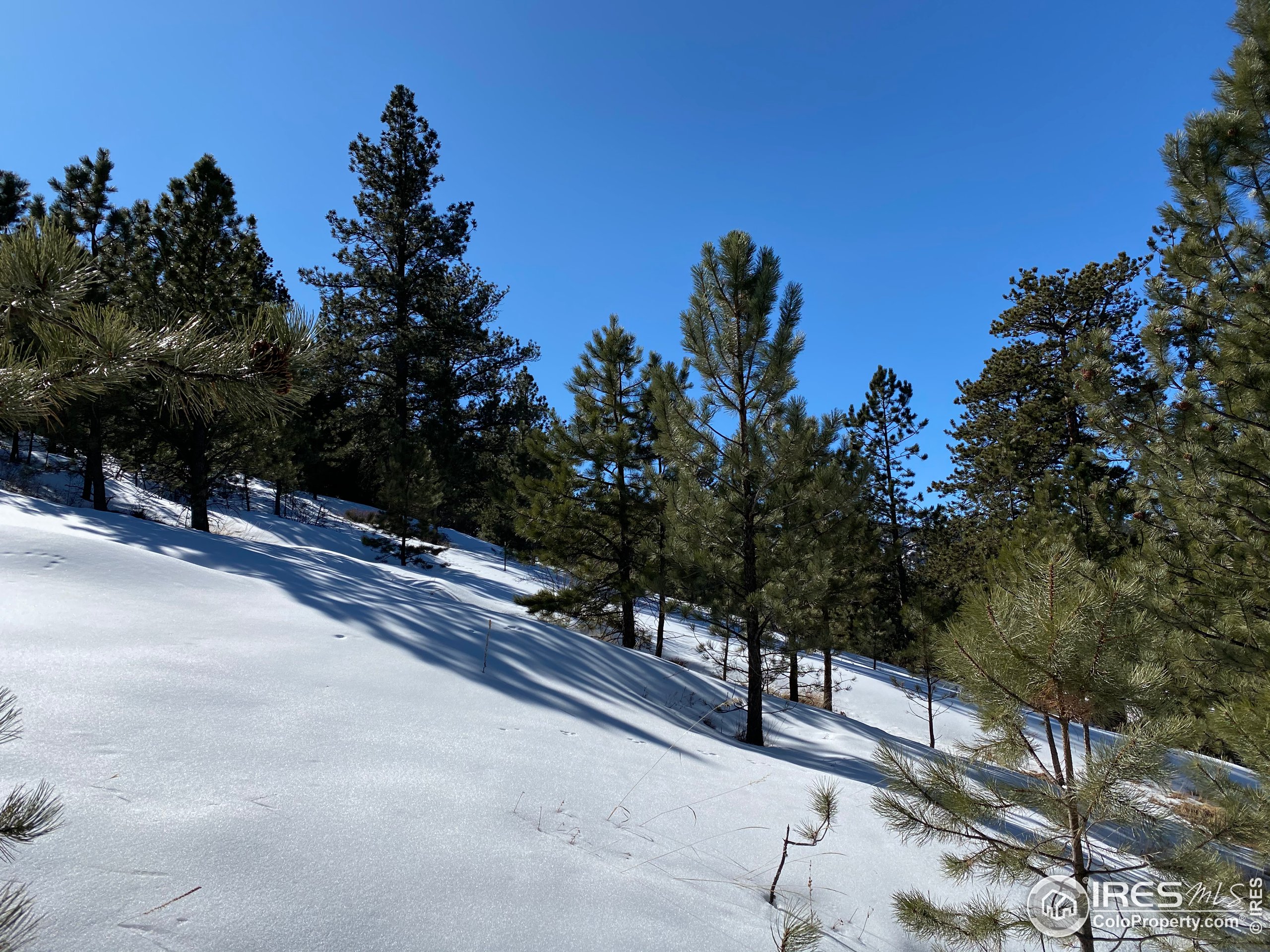 7294 County Road 43 Drake, CO 80515 - Photo 4 of 8