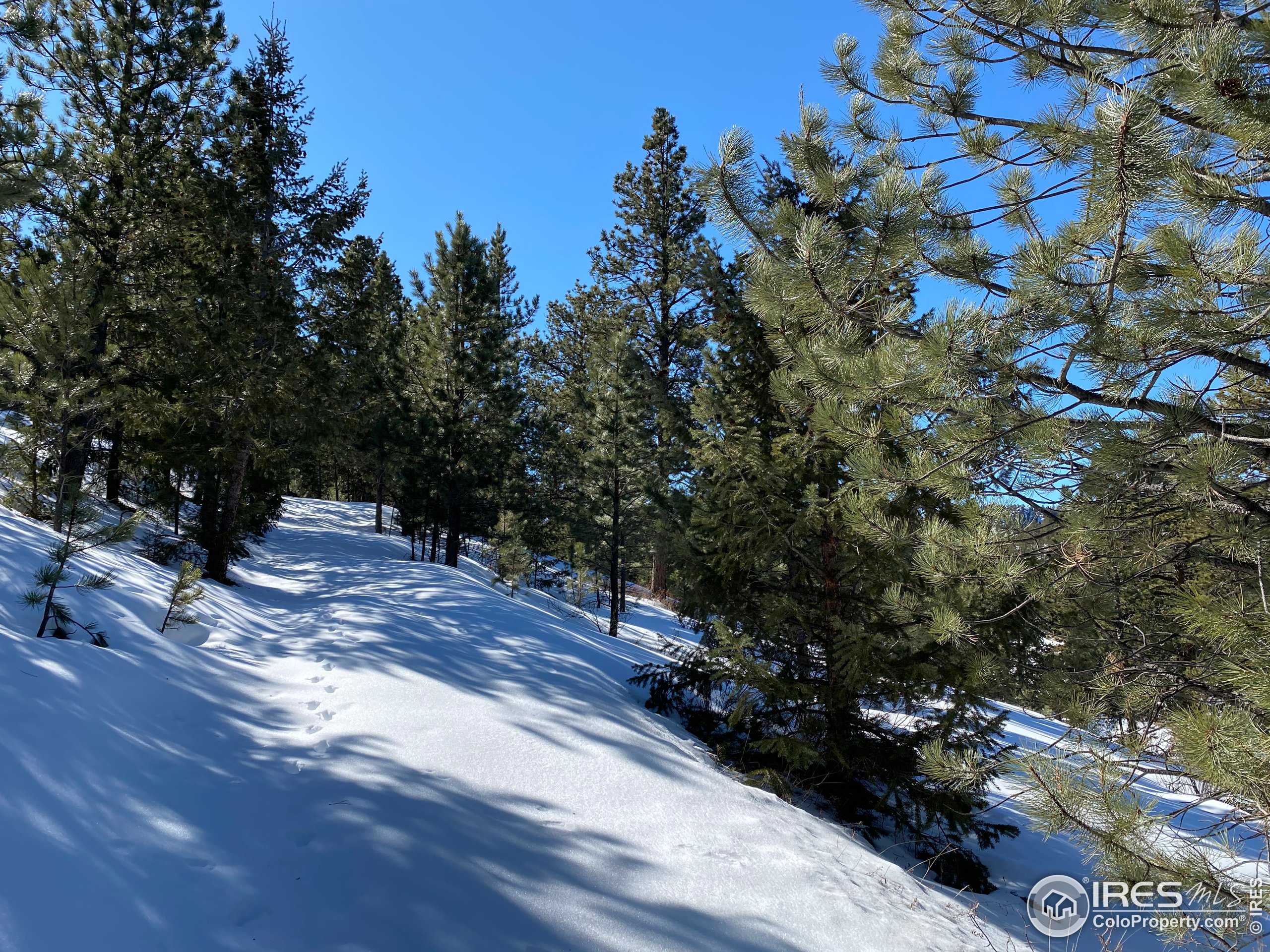 7294 County Road 43 Drake, CO 80515 - Photo 5 of 8