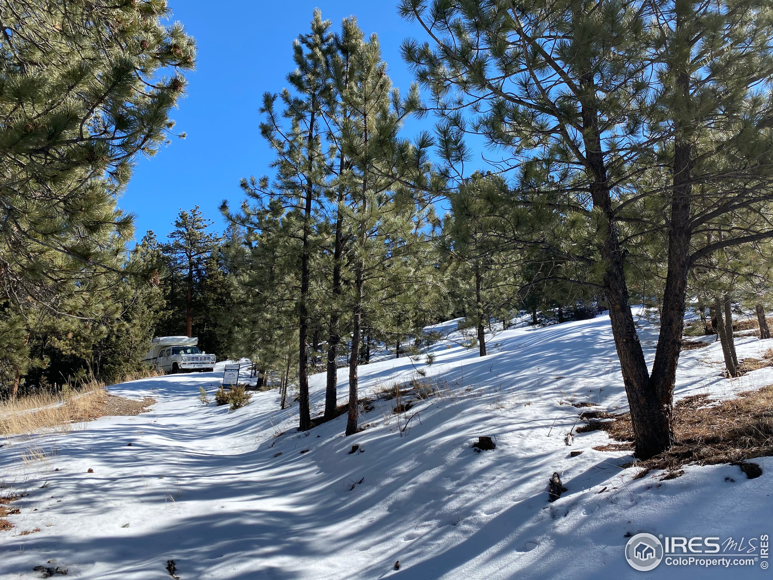 7294 County Road 43 Drake, CO 80515 - Photo 6 of 8