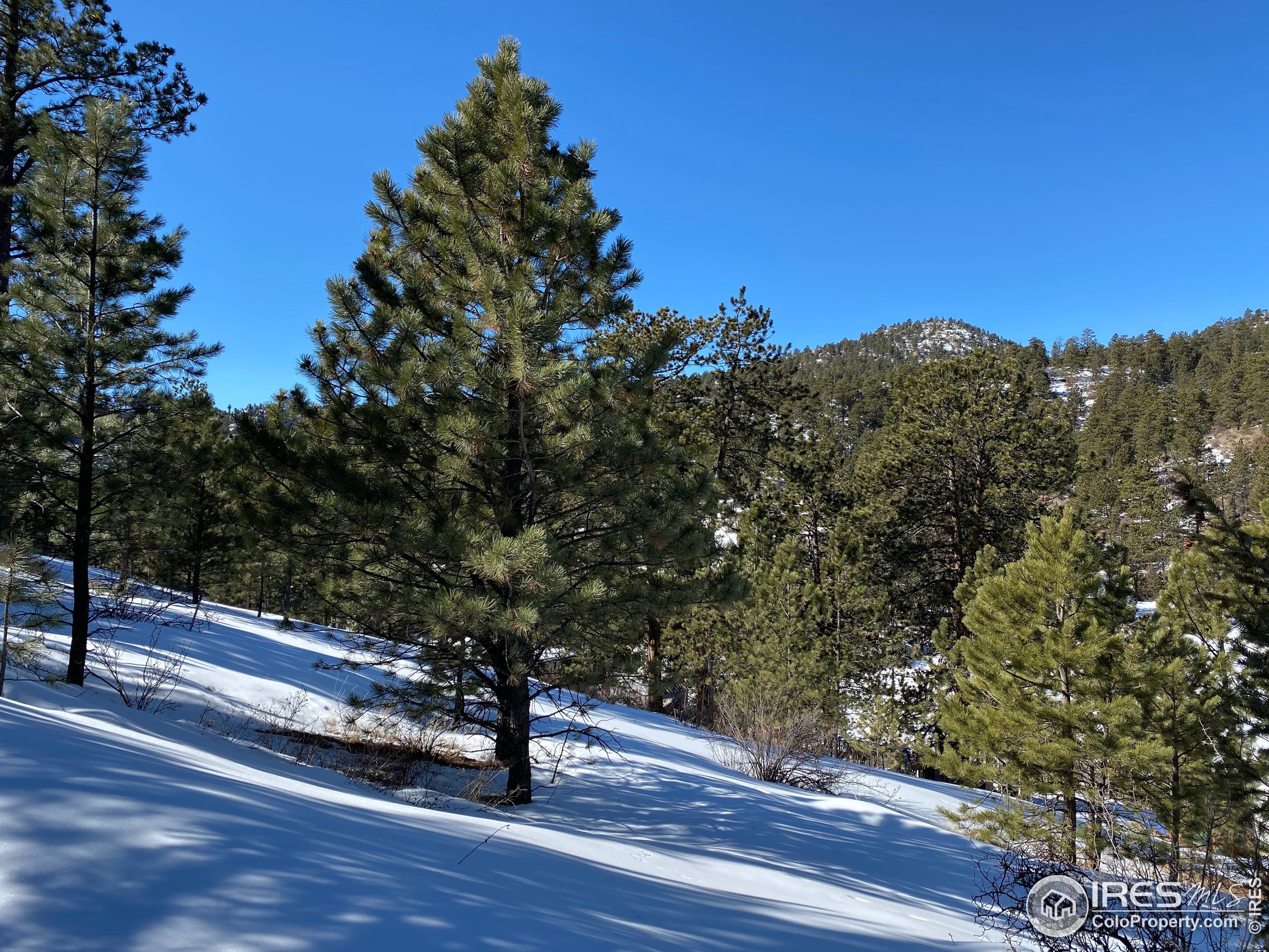 7294 County Road 43 Drake, CO 80515 - Photo 7 of 8