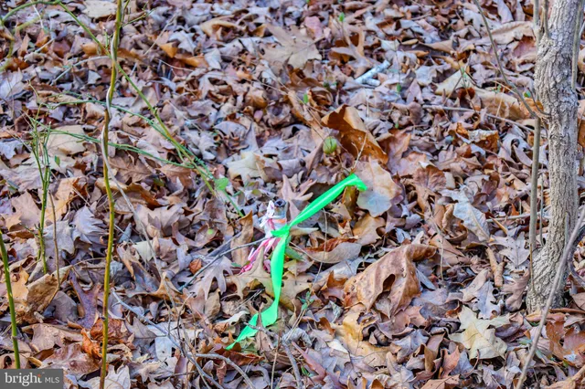 $29,900 | 0 Riverbend Drive, Luray, VA 22835