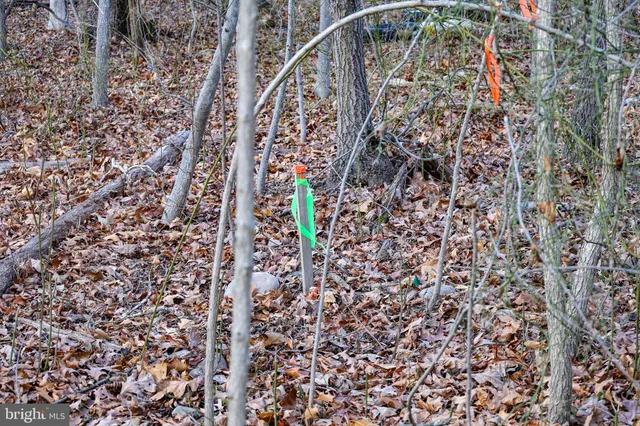 $29,900 | 0 Riverbend Drive, Luray, VA 22835