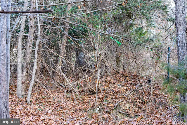 $29,900 | 0 Riverbend Drive, Luray, VA 22835