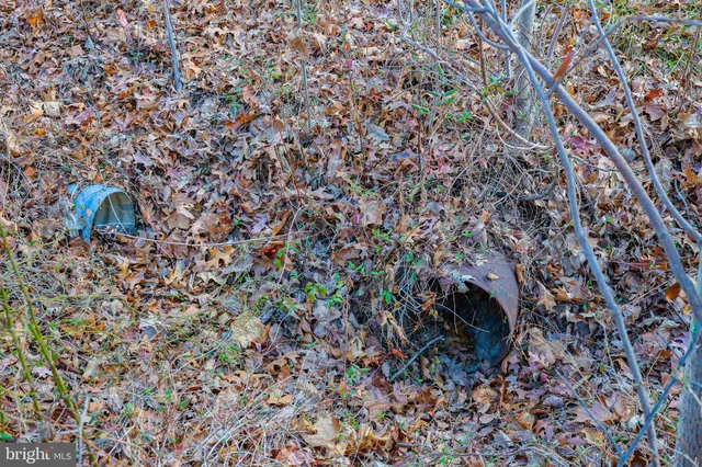 $29,900 | 0 Riverbend Drive, Luray, VA 22835