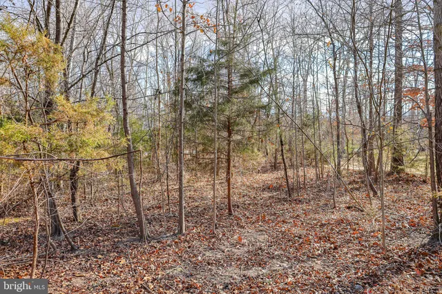 $29,900 | 0 Riverbend Drive, Luray, VA 22835