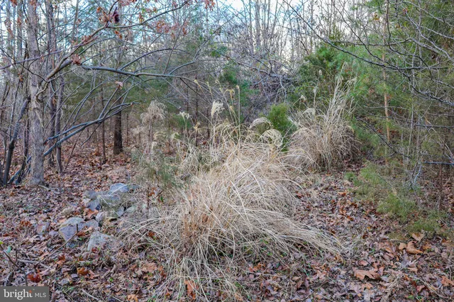 $29,900 | 0 Riverbend Drive, Luray, VA 22835