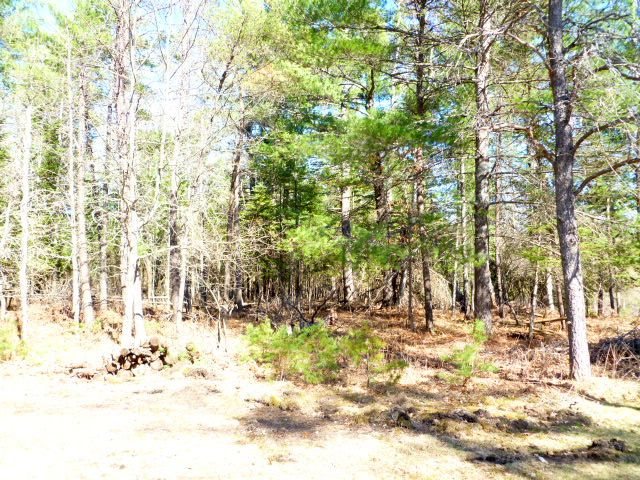 5222 Pumpanickel Road Traverse City, MI 49696 - Photo 32 of 40 1799540-31.JPG
