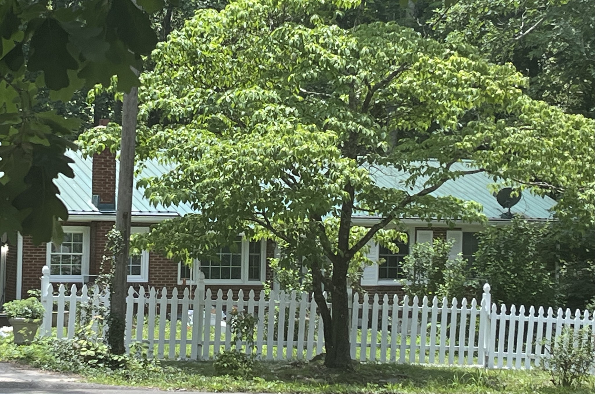5849 Bending Chestnut Road Franklin, TN 37064 - Photo 1 of 34