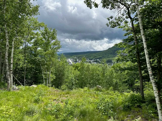 $69,000 | 0 Church Street, Unit MAP 121 LOT 60, Berlin, NH 03570