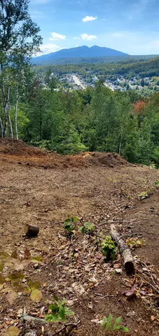 $69,000 | 0 Church Street, Unit MAP 121 LOT 60, Berlin, NH 03570