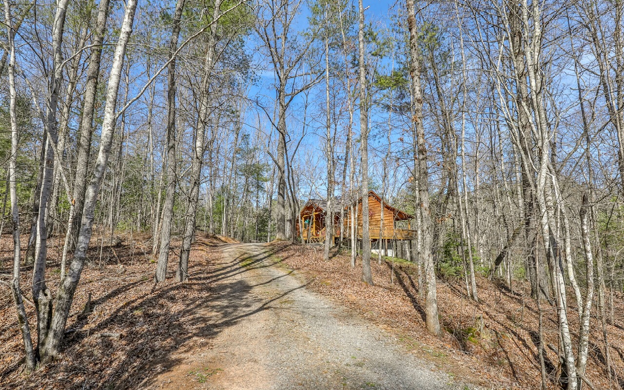 8022 Cutcane Road Mineral Bluff, GA 30559 - Photo 6 of 45 Additional View