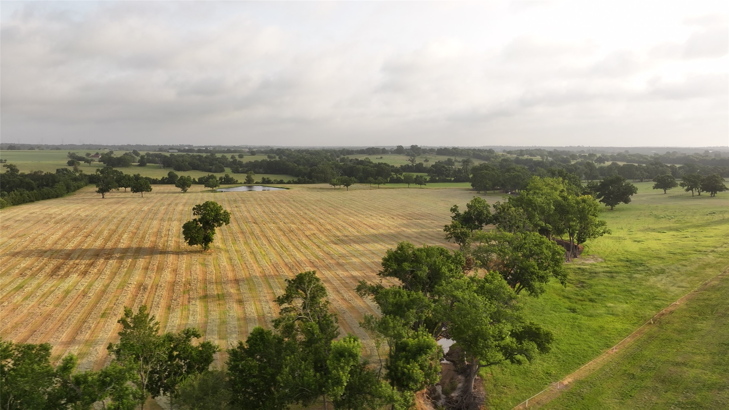 3285 Fm 2562 Road Anderson, TX 77830 - Photo 14 of 49