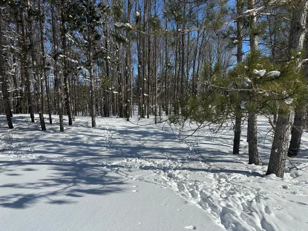 $141,500 | 0 East 24 Road, Cadillac, MI 49601